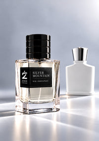 Silver Mountain